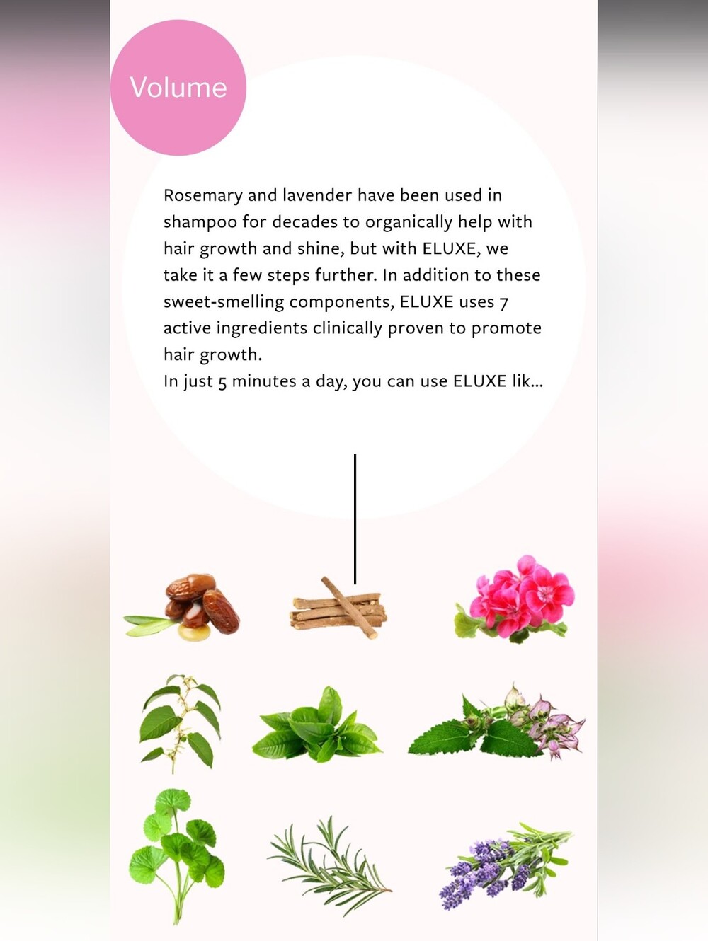 ELUXE Shampoo - Picture 4 of 4